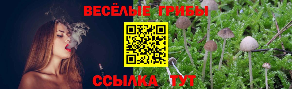 Псилоцибиновые грибы ЛСД Надым